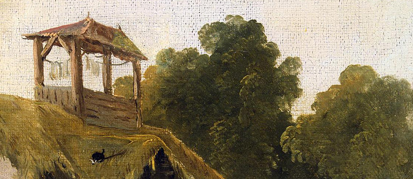 The roof of a cottage in a forest